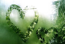 亚星体育:伯恩茅斯足球俱樂部介紹.