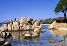 亚星体育:21/22賽季歐冠聯賽基輔迪納摩陣容.